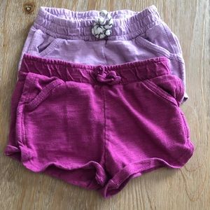 2 size 2T Gymboree shorts.